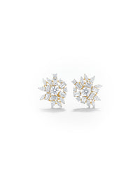 Classic Stud Silver Earrings | Zeya Luxe Jewels