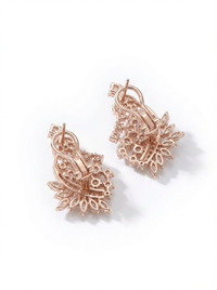 Impactful Stud Silver Earrings | Zeya Luxe Jewels