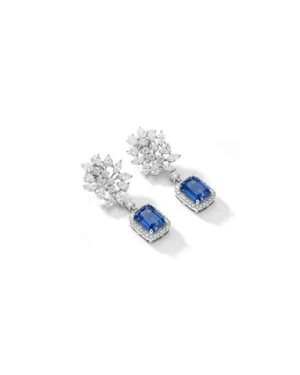 Stunning Blue Earrings